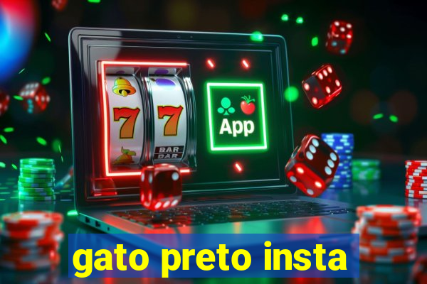 gato preto insta